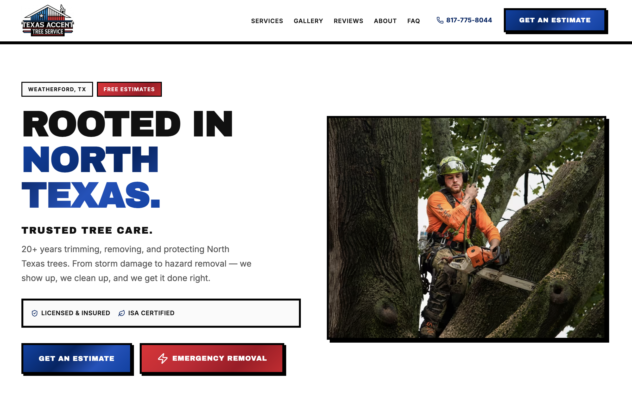 Texas Accent Trees website screenshot